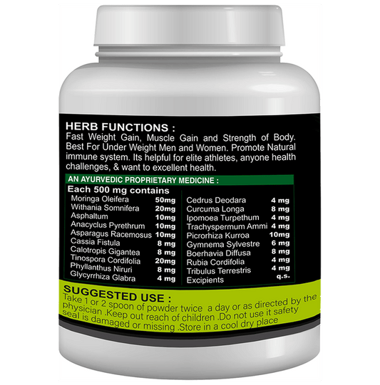 Sabates Mega Mass Gainer Powder