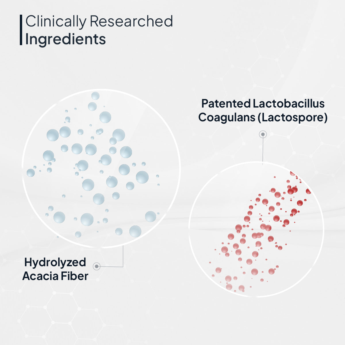Miduty by Palak Notes Probiotics & Prebiotic Fiber powder