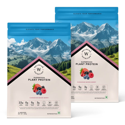 Vegan Protein 22g | 500g | 3B CFU Probiotics | Canadian Mixed Berry