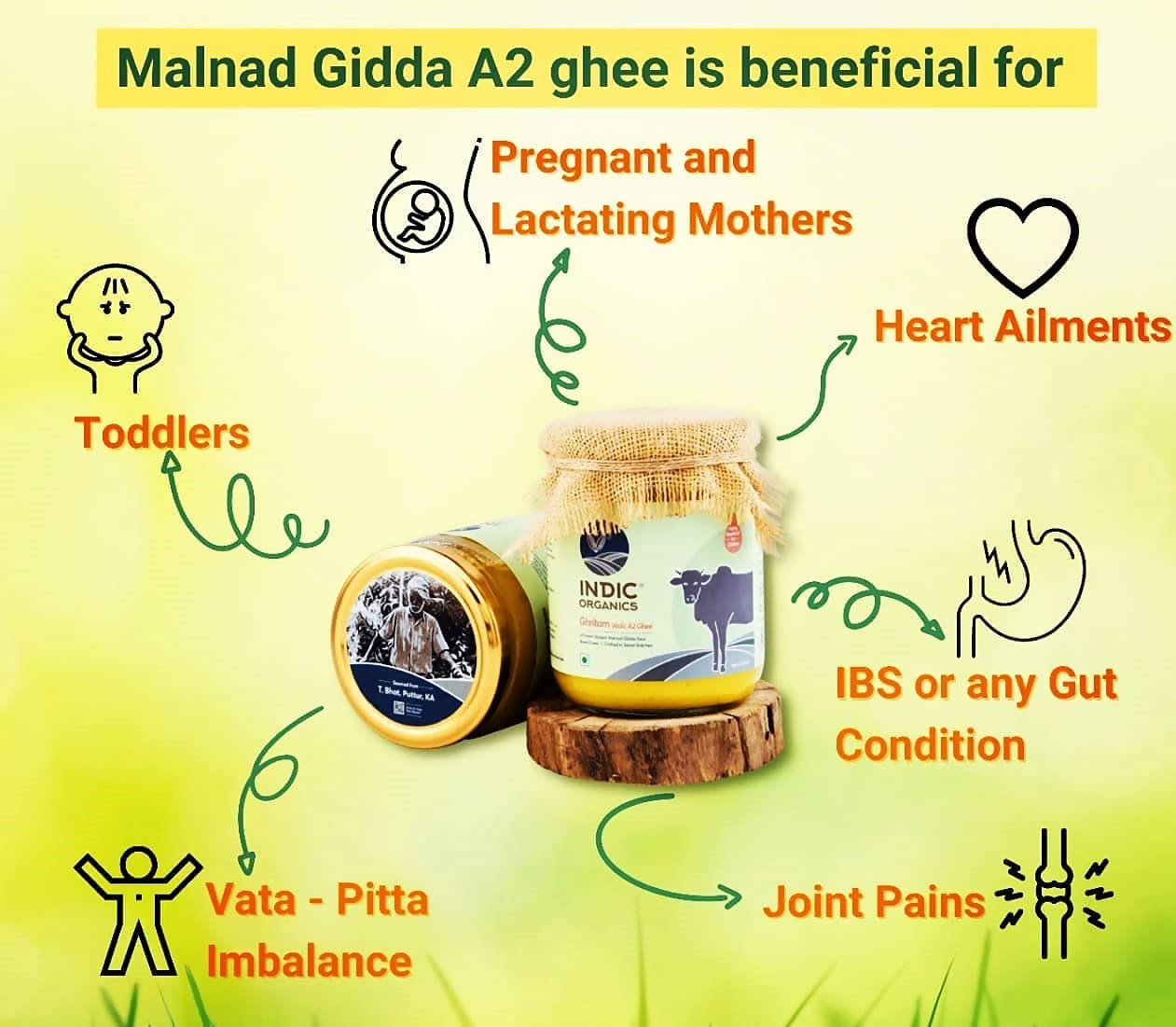 Indic Organics Forest Grazing Malnad Gidda Desi Cow's A2 Ghee | Pure Desi Cow Ghee | Cultured Premium Ghee