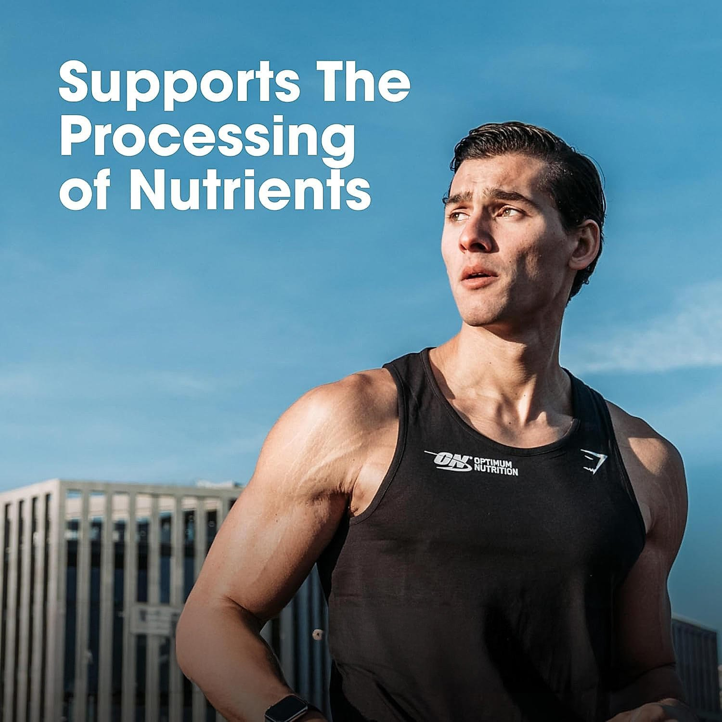 Optimum Nutrition Performance Whey Protein Powder (Chocolate Milkshake) 1kg & Multivitamin 60 Tablets for Men