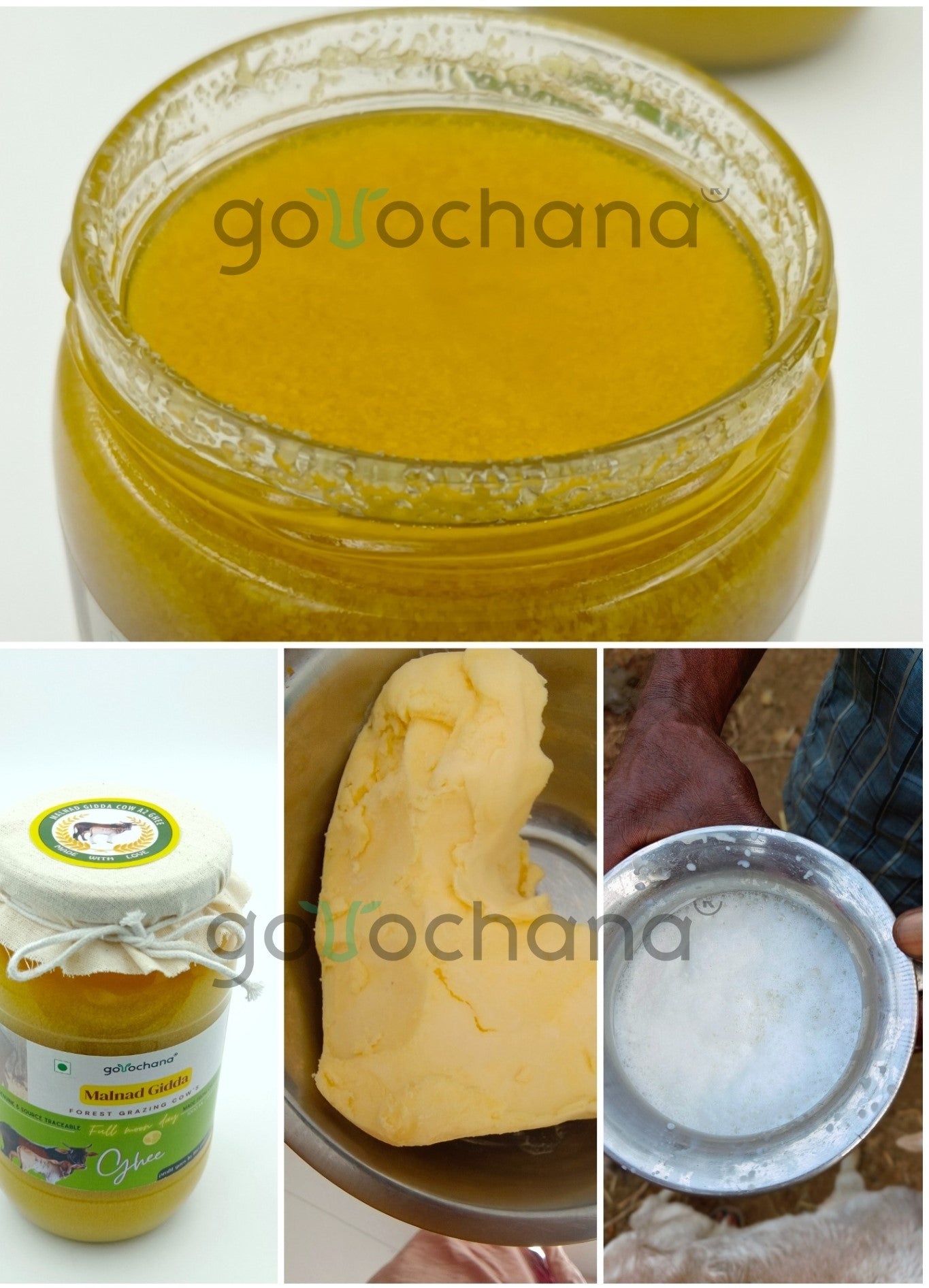 Gorochana 100% Source Traceable Desi Malnad Gidda A2 Full Moon Day Bilona Cow Ghee | Pure Ghee | Organic Ghee