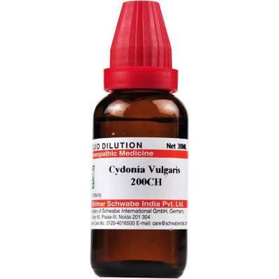 Dr Willmar Schwabe India Cydonia Vulgaris Dilution