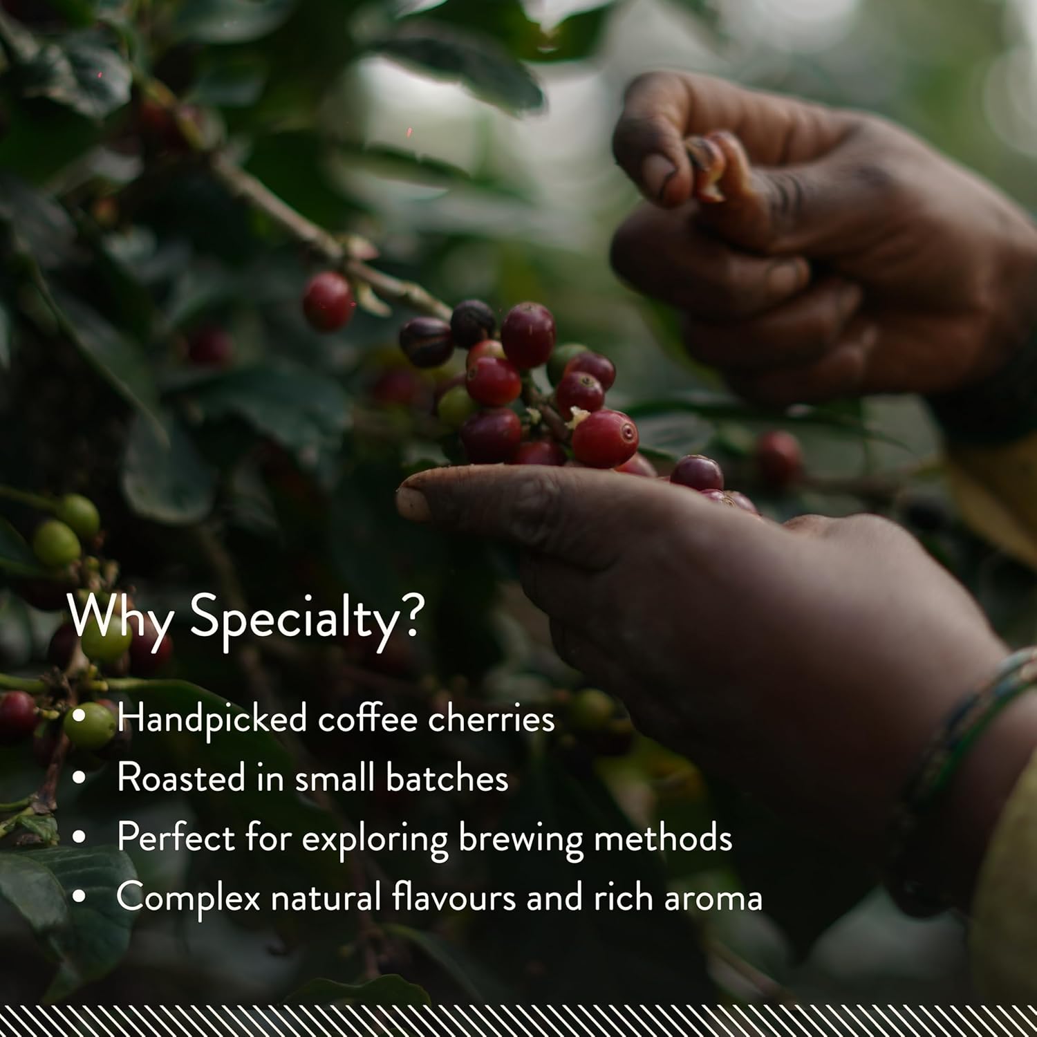 Blue Tokai Coffee Roasters Attikan Estate - Distacart