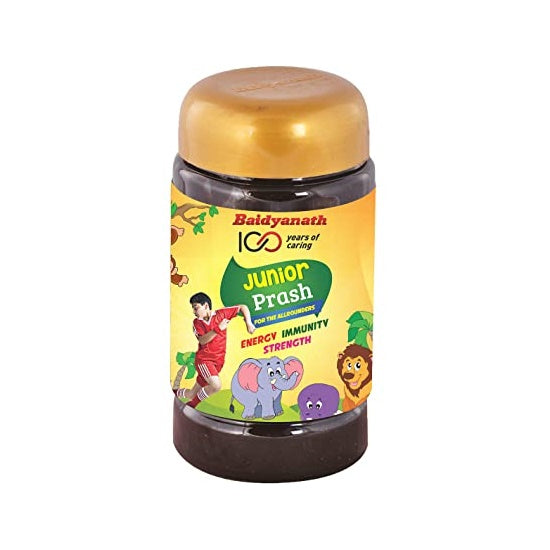 Baidyanath Junior Chyawanprash 