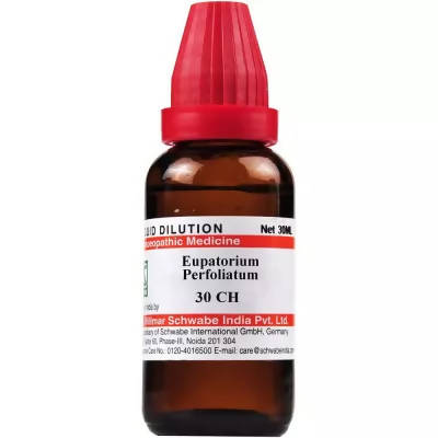 Dr. Willmar Schwabe India Eupatorium Perfoliatum Dilution