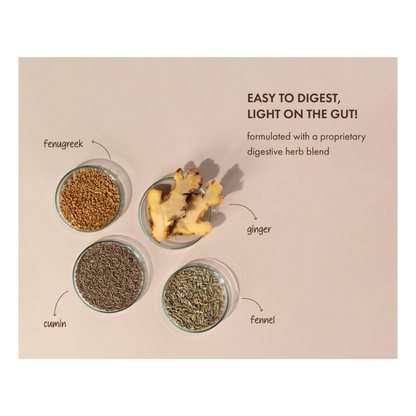 Cosmix No Nonsense Plant Protein Japanese Ceremonial Matcha