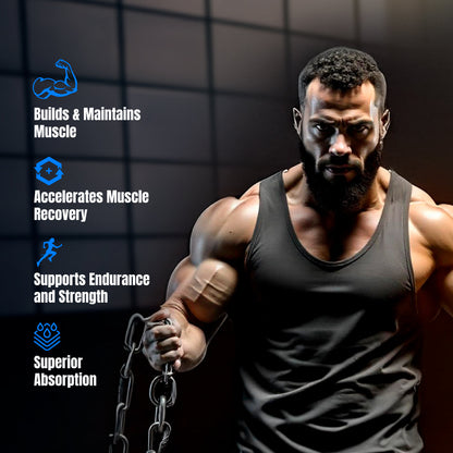 Big Muscles Nutrition Prime Protein