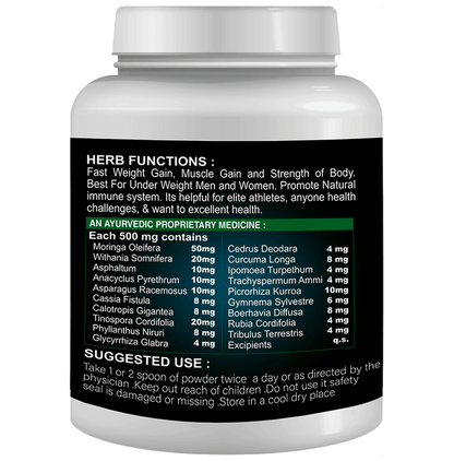 Sabates Techno Mass Powder