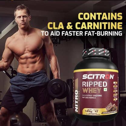 Scitron Ripped Whey Protein Powder Flavor Chocolate Fudge Brownie
