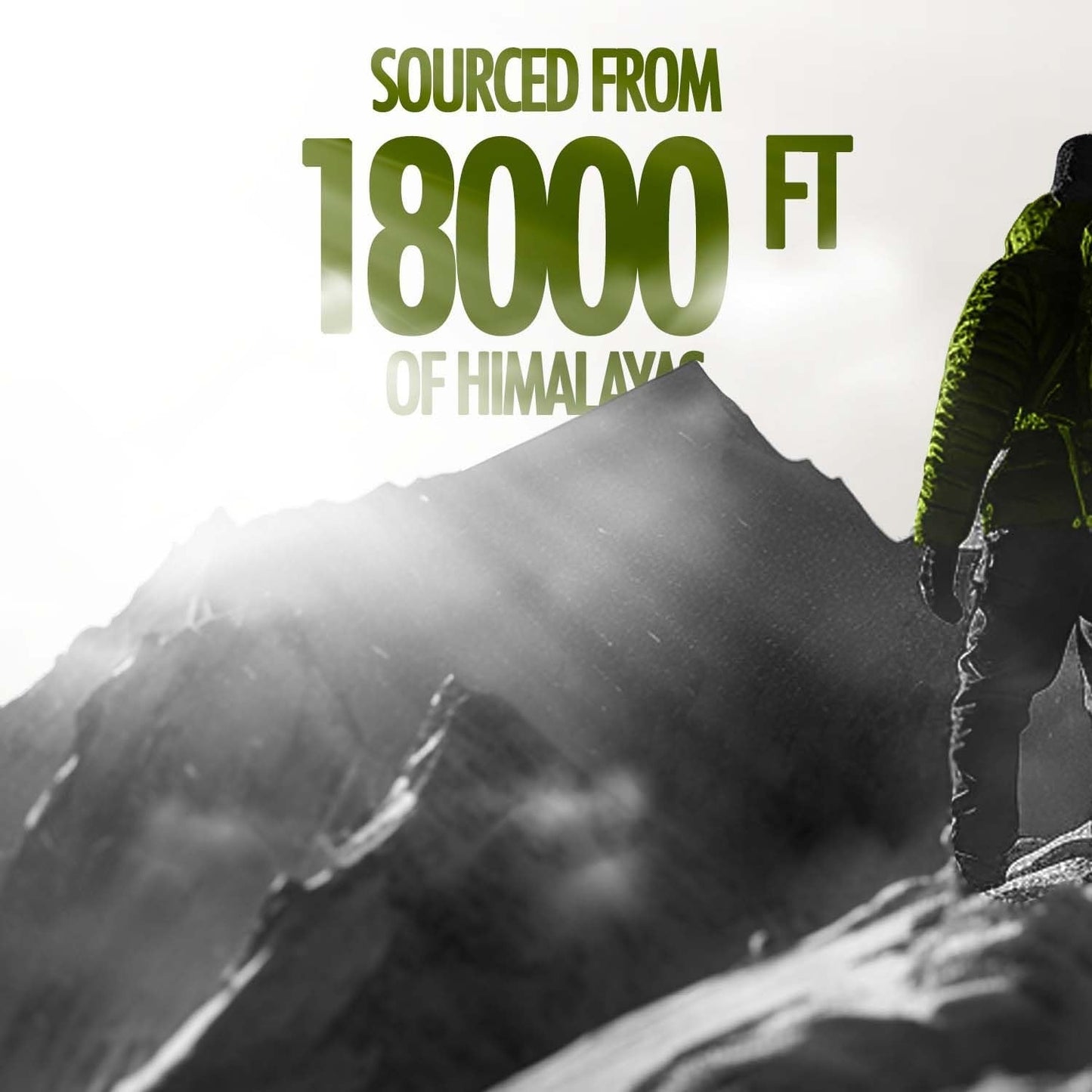 Kapiva Ayurveda Himalayan Sj