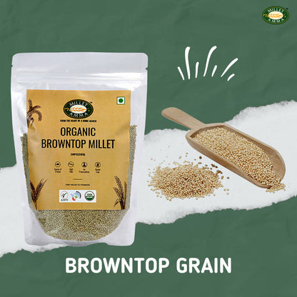Millet Amma Organic Browntop Millet Grains - Distacart