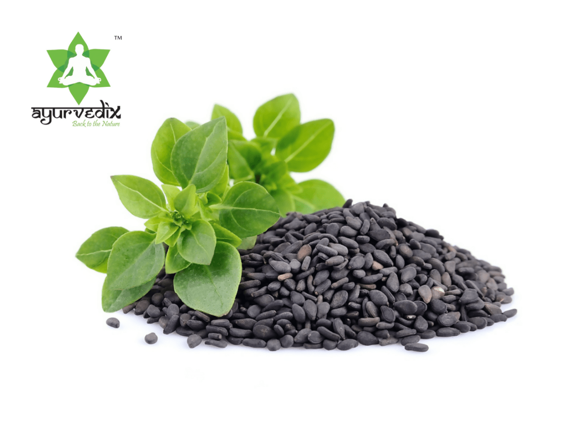 Ayurvedix Nutritious Basil Seeds - Distacart