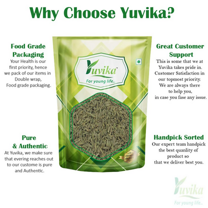 Yuvika Sonf Choti - Saunf Barik - Foeniculum Vulgare - Fennel Seeds Small