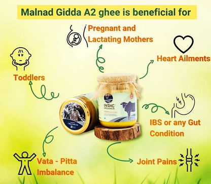 Indic Organics Forest Grazing Malnad Gidda Desi Cow's A2 Ghee | Pure Desi Cow Ghee | Cultured Premium Ghee