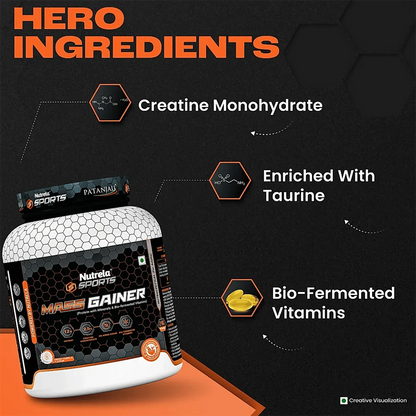 Patanjali Nutrela Sports Mass Gainer (Frvan-ice)