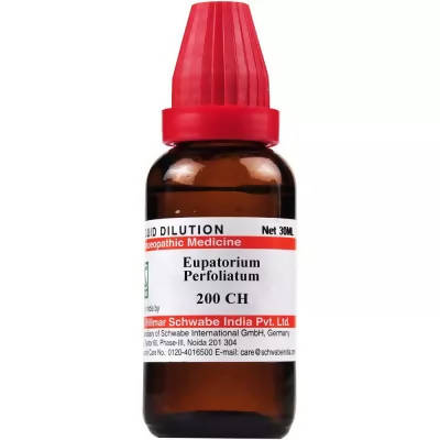 Dr. Willmar Schwabe India Eupatorium Perfoliatum Dilution