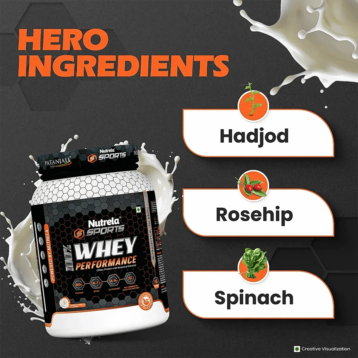 Patanjali Nutrela Sports Whey Performance (Fvic)