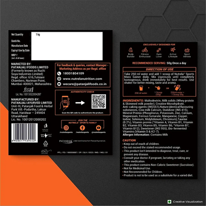 Patanjali Nutrela Sports Whey Performance (Fvic)