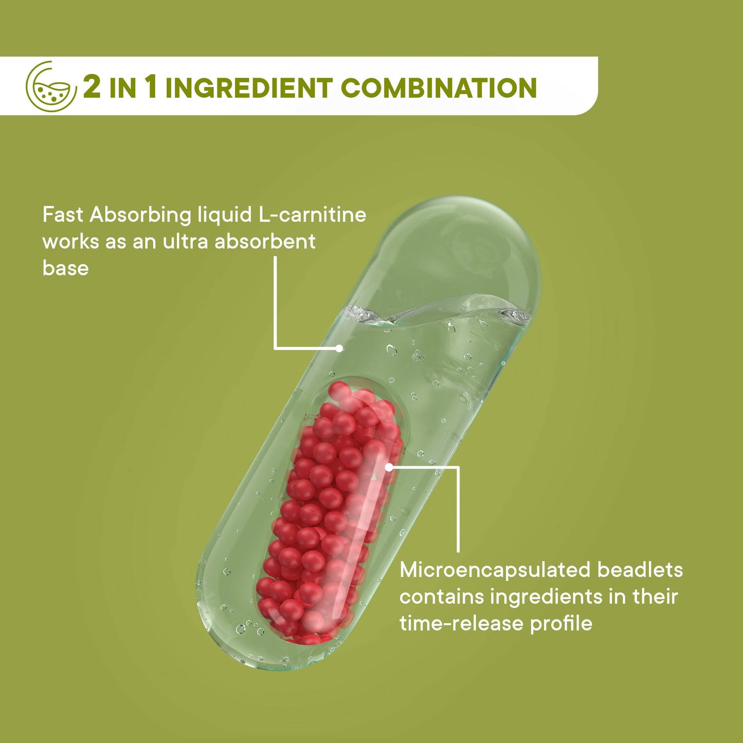 Wellbeing Nutrition Slow | Burn Capsules - Distacart